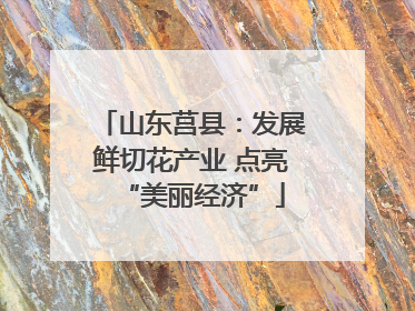 山东莒县：发展鲜切花产业 点亮“美丽经济”