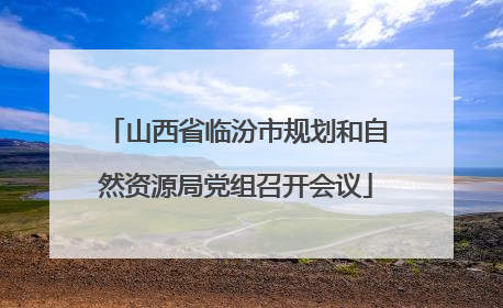 山西省临汾市规划和自然资源局党组召开会议