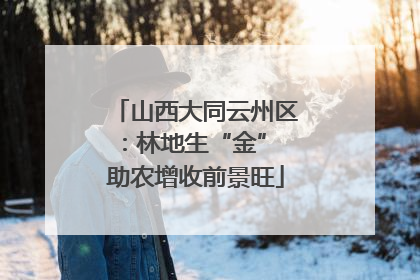 山西大同云州区：林地生“金” 助农增收前景旺