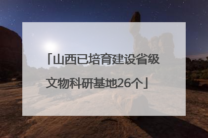 山西已培育建设省级文物科研基地26个