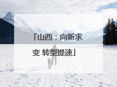 山西：向新求变 转型提速