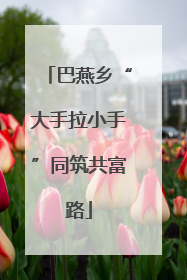 巴燕乡“大手拉小手”同筑共富路