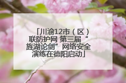 川渝12市（区）联防护网 第三届“旌湖论剑”网络安全演练在德阳启动