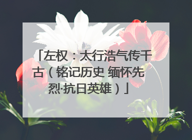 左权：太行浩气传千古（铭记历史 缅怀先烈·抗日英雄）
