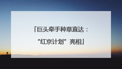 巨头牵手种草直达：“红京计划”亮相