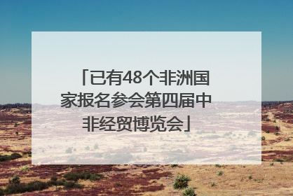 已有48个非洲国家报名参会第四届中非经贸博览会