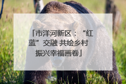 市洋河新区：“红蓝”交融 共绘乡村振兴幸福画卷
