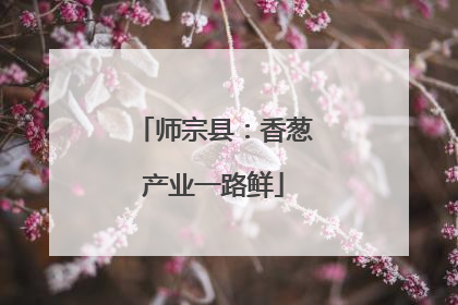 师宗县：香葱产业一路鲜