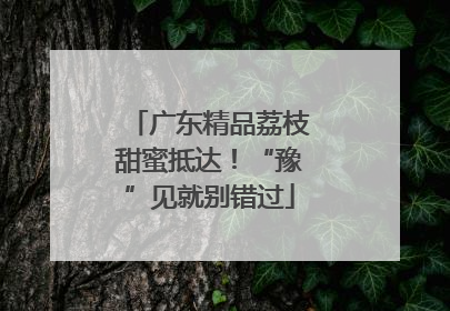 广东精品荔枝甜蜜抵达！“豫”见就别错过