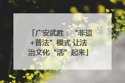 广安武胜：“非遗+普法”模式 让法治文化“活”起来