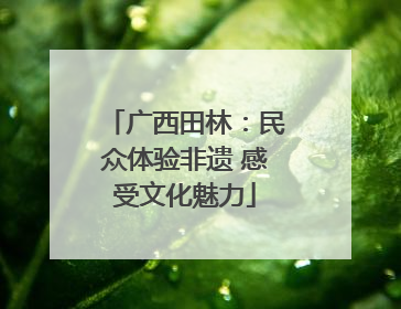 广西田林：民众体验非遗 感受文化魅力
