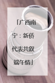 广西南宁：新侨代表共叙端午情