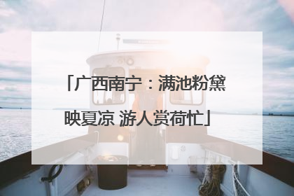 广西南宁：满池粉黛映夏凉 游人赏荷忙