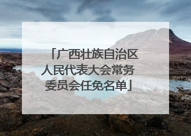 广西壮族自治区人民代表大会常务委员会任免名单
