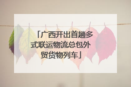 广西开出首趟多式联运物流总包外贸货物列车