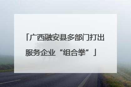 广西融安县多部门打出服务企业“组合拳”