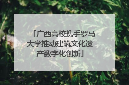 广西高校携手罗马大学推动建筑文化遗产数字化创新