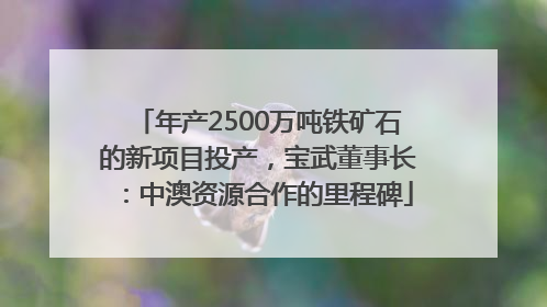 年产2500万吨铁矿石的新项目投产，宝武董事长：中澳资源合作的里程碑