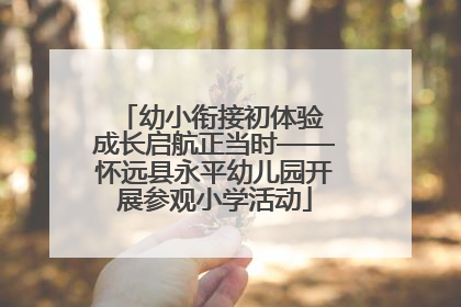 幼小衔接初体验 成长启航正当时——怀远县永平幼儿园开展参观小学活动