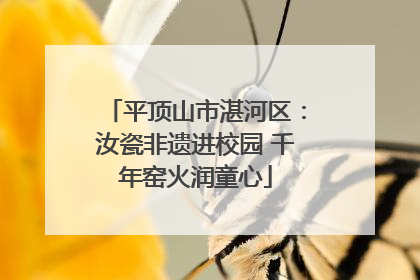 平顶山市湛河区：汝瓷非遗进校园 千年窑火润童心