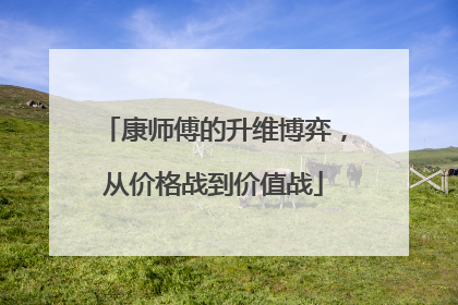 康师傅的升维博弈，从价格战到价值战