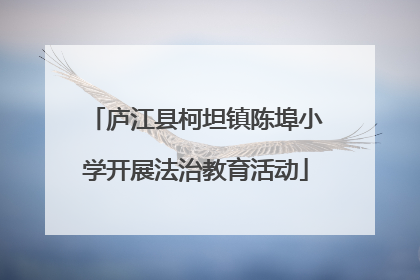 庐江县柯坦镇陈埠小学开展法治教育活动