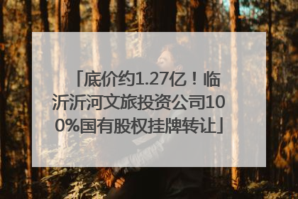 底价约1.27亿！临沂沂河文旅投资公司100%国有股权挂牌转让