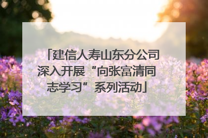 建信人寿山东分公司深入开展“向张富清同志学习”系列活动