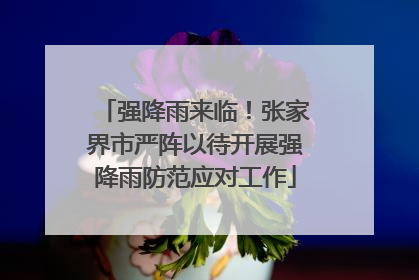 强降雨来临！张家界市严阵以待开展强降雨防范应对工作