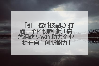引一位科技副总 打通一个科创圈 浙江嘉善组建专家库助力企业提升自主创新能力