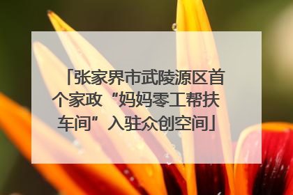 张家界市武陵源区首个家政“妈妈零工帮扶车间”入驻众创空间