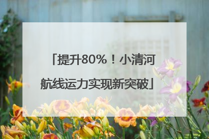 提升80％！小清河航线运力实现新突破