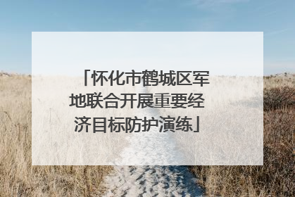 怀化市鹤城区军地联合开展重要经济目标防护演练