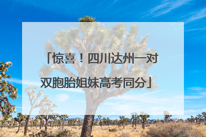 惊喜！四川达州一对双胞胎姐妹高考同分