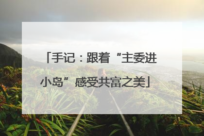 手记：跟着“主委进小岛”感受共富之美