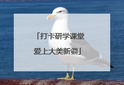 打卡研学课堂 爱上大美新疆