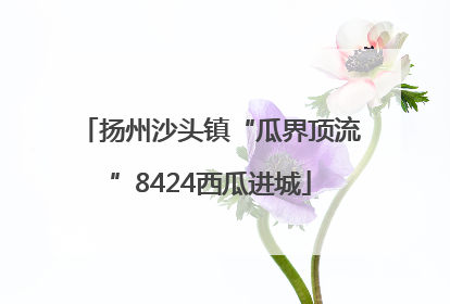 扬州沙头镇“瓜界顶流”8424西瓜进城