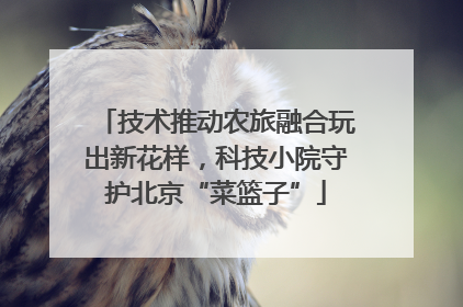 技术推动农旅融合玩出新花样，科技小院守护北京“菜篮子”