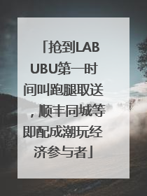 抢到LABUBU第一时间叫跑腿取送，顺丰同城等即配成潮玩经济参与者