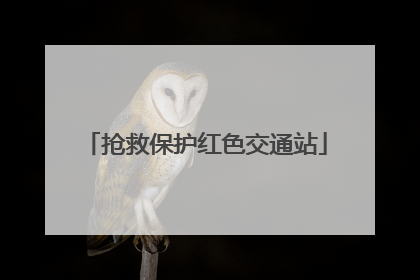 抢救保护红色交通站