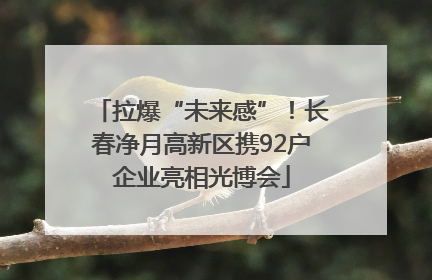 拉爆“未来感”！长春净月高新区携92户企业亮相光博会
