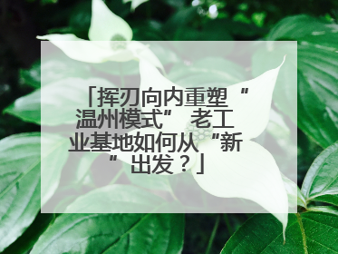 挥刃向内重塑“温州模式” 老工业基地如何从“新”出发？