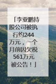 李亚鹏持股公司被执行约244万元，一个月前因欠税561万元被公告！
