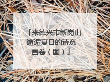 来德兴市新岗山 邂逅夏日的诗意画卷（图）