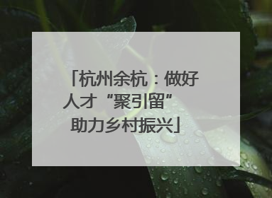 杭州余杭：做好人才“聚引留” 助力乡村振兴