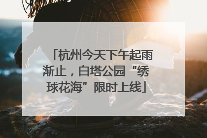 杭州今天下午起雨渐止，白塔公园“绣球花海”限时上线