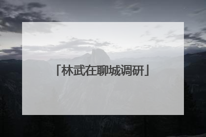 林武在聊城调研