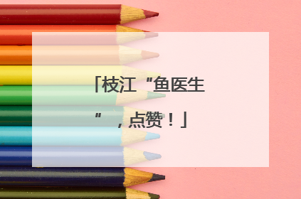 枝江“鱼医生”，点赞！