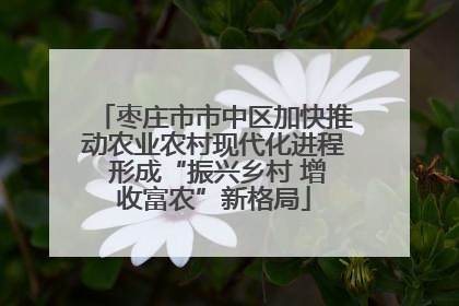 枣庄市市中区加快推动农业农村现代化进程 形成“振兴乡村 增收富农”新格局