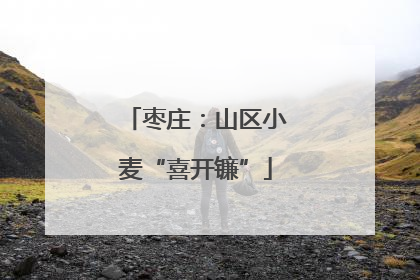 枣庄：山区小麦“喜开镰”
